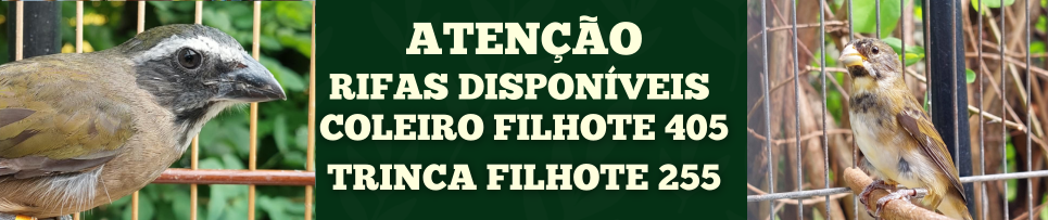 CLIQUE AQUI E COMPRE SEU NÚMERO DA RIFA