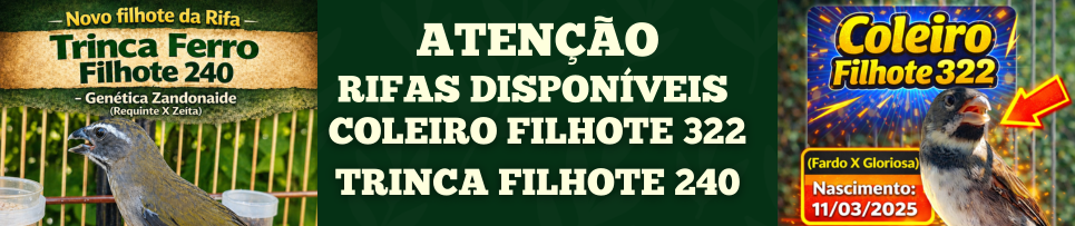 CLIQUE AQUI E COMPRE SEU NÚMERO DA RIFA