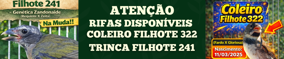 CLIQUE AQUI E COMPRE SEU NÚMERO DA RIFA