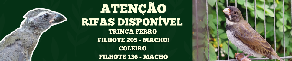 CLIQUE AQUI E COMPRE SEU NÚMERO DA RIFA